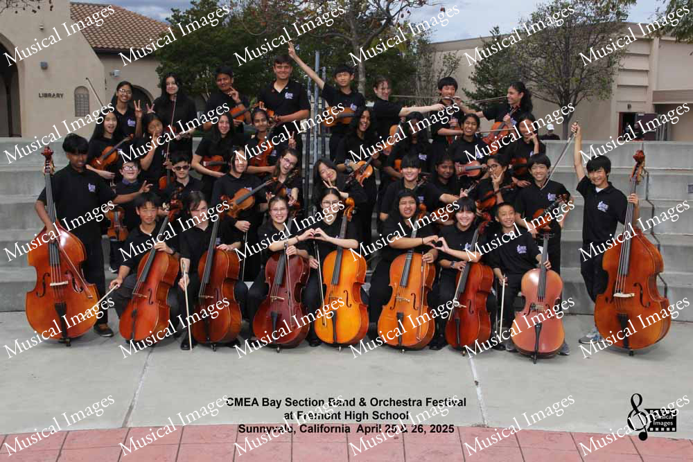 Musical Images